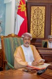 hmhaitham00102-7